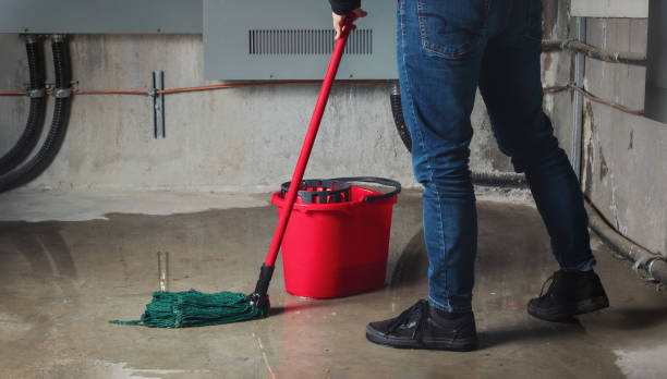 Best Water damage restoration near me  in Olivette, MO