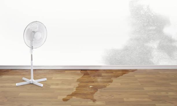 Best 24/7 water damage repair  in Olivette, MO