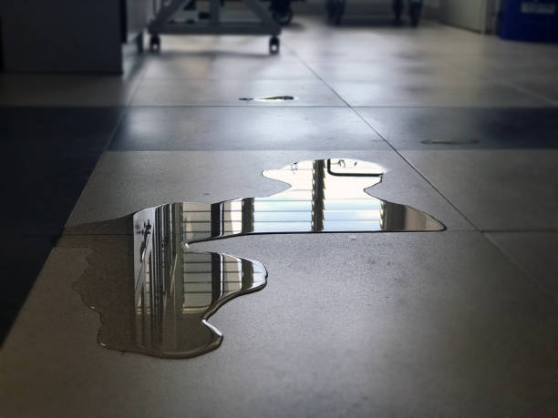Best 24-hour water damage restoration  in Olivette, MO