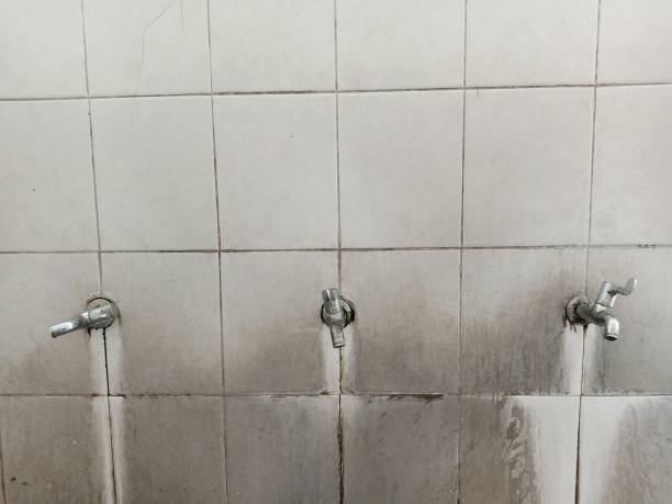 Best Sewage cleanup and water damage restoration  in Olivette, MO