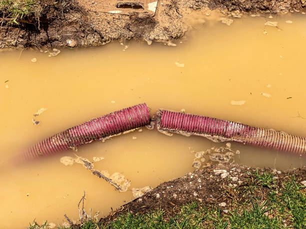 Best Carpet water damage restoration  in Olivette, MO