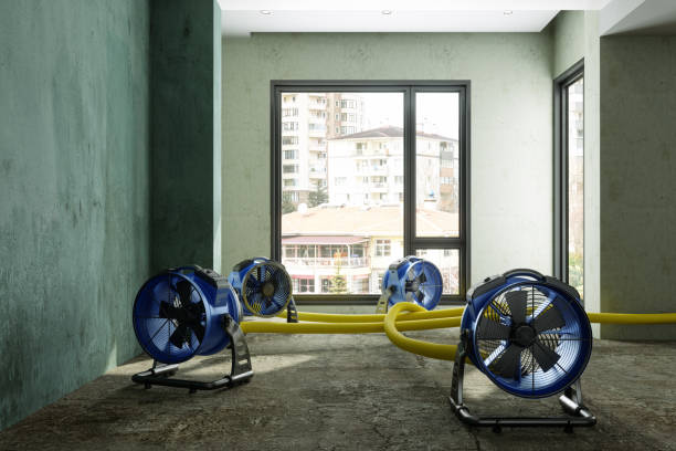 Best Flood restoration services  in Olivette, MO